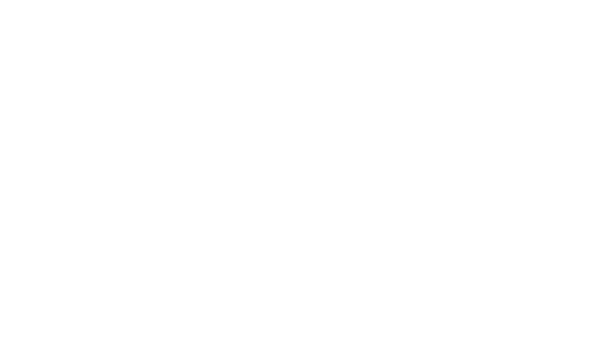Plus PM Vietnam